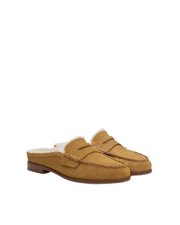 CARTER MULE