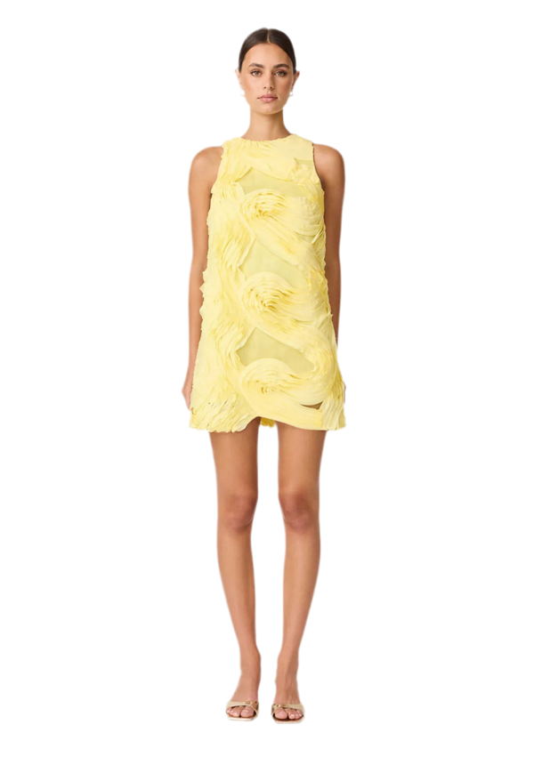 ASHER MINI SHIFT DRESS